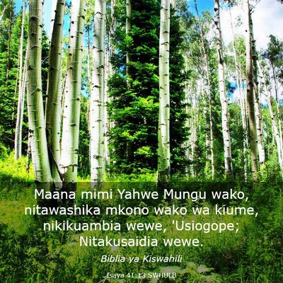 Picture 03 - Isaya 41:13 SWHULB - Maana mimi Yahwe Mungu wako, nitawashika mkono - Bible Verse Picture