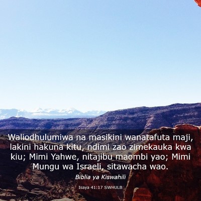 Picture 03 - Isaya 41:17 SWHULB - Waliodhulumiwa na masikini wanatafuta maji, - Bible Verse Picture