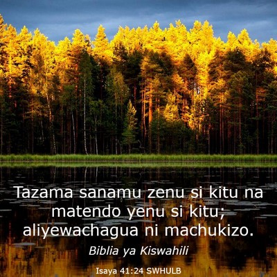 Picture 03 - Isaya 41:24 SWHULB - Tazama sanamu zenu si kitu na matendo yenu si - Bible Verse Picture