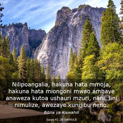 Picture 03 - Isaya 41:28 SWHULB - Nilipoangalia, hakuna hata mmoja, hakuna hata - Bible Verse Picture