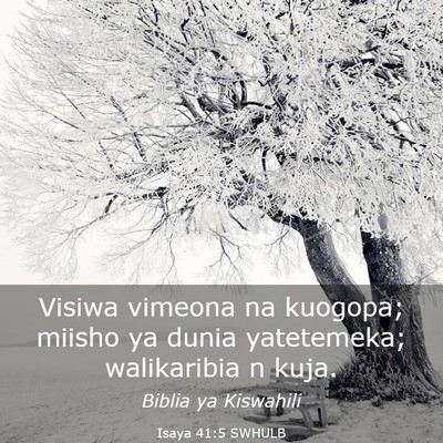 Picture 03 - Isaya 41:5 SWHULB - Visiwa vimeona na kuogopa; miisho ya dunia - Bible Verse Picture