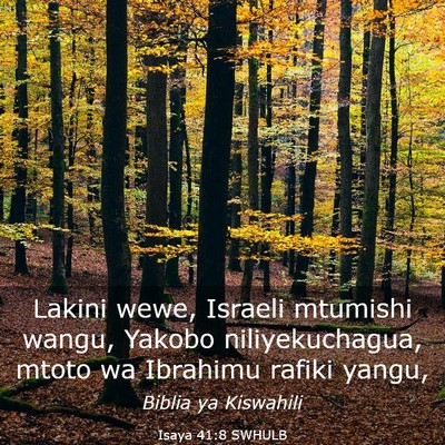 Picture 03 - Isaya 41:8 SWHULB - Lakini wewe, Israeli mtumishi wangu, Yakobo - Bible Verse Picture