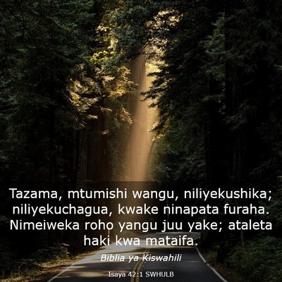 Picture 03 - Isaya 42:1 SWHULB - Tazama, mtumishi wangu, niliyekushika; - Bible Verse Picture
