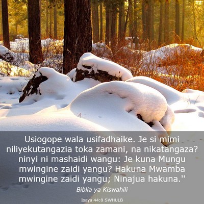 Picture 03 - Isaya 44:8 SWHULB - Usiogope wala usifadhaike. Je si mimi - Bible Verse Picture