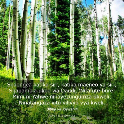 Picture 03 - Isaya 45:19 SWHULB - Sijaongea katika siri, katika maeneo ya siri; - Bible Verse Picture