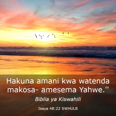 Picture 03 - Isaya 48:22 SWHULB - Hakuna amani kwa watenda makosa- amesema - Bible Verse Picture