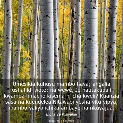 Picture 03 - Isaya 48:6 SWHULB - Umesikia kuhusu mambo haya; angalia ushahidi - Bible Verse Picture