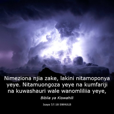 Picture 03 - Isaya 57:18 SWHULB - Nimeziona njia zake, lakini nitamoponya yeye. - Bible Verse Picture