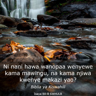 Picture 03 - Isaya 60:8 SWHULB - Ni nani hawa wanopaa wenyewe kama mawingu, na - Bible Verse Picture