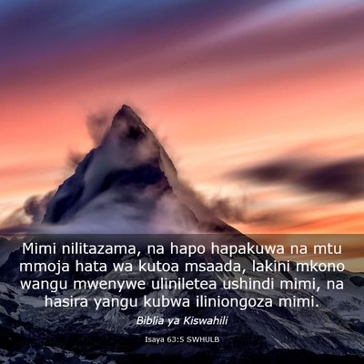 Picture 03 - Isaya 63:5 SWHULB - Mimi nilitazama, na hapo hapakuwa na mtu mmoja - Bible Verse Picture