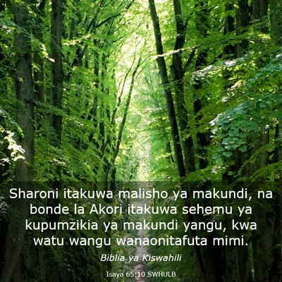 Picture 03 - Isaya 65:10 SWHULB - Sharoni itakuwa malisho ya makundi, na bonde la - Bible Verse Picture