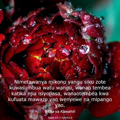 Picture 03 - Isaya 65:2 SWHULB - Nimetawanya mikono yangu siku zote kuwasumbua - Bible Verse Picture
