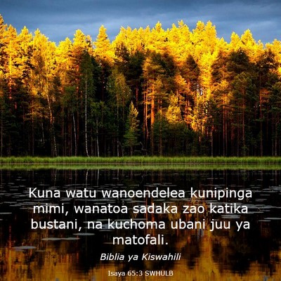 Picture 03 - Isaya 65:3 SWHULB - Kuna watu wanoendelea kunipinga mimi, wanatoa - Bible Verse Picture