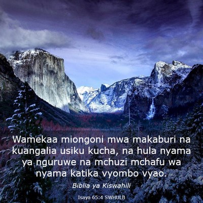Picture 03 - Isaya 65:4 SWHULB - Wamekaa miongoni mwa makaburi na kuangalia usiku - Bible Verse Picture