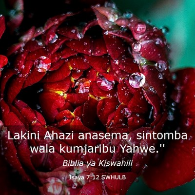 Picture 03 - Isaya 7:12 SWHULB - Lakini Ahazi anasema, sintomba wala kumjaribu - Bible Verse Picture