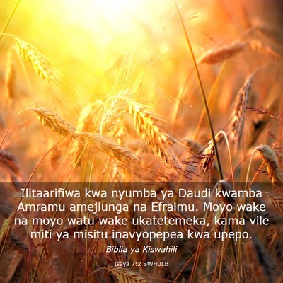 Picture 03 - Isaya 7:2 SWHULB - Ilitaarifiwa kwa nyumba ya Daudi kwamba Amramu - Bible Verse Picture