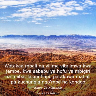 Picture 03 - Isaya 7:25 SWHULB - Watakaa mbali na vilima vitalimwa kwa jembe, kwa - Bible Verse Picture
