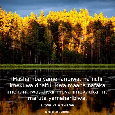 Picture 03 - Joeli 1:10 SWHULB - Mashamba yameharibiwa, na nchi imekuwa dhaifu. - Bible Verse Picture