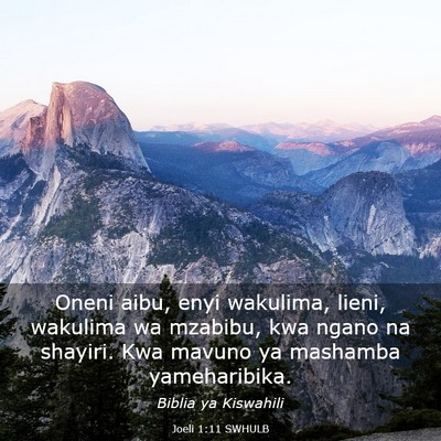 Picture 03 - Joeli 1:11 SWHULB - Oneni aibu, enyi wakulima, lieni, wakulima wa - Bible Verse Picture