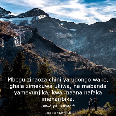 Picture 03 - Joeli 1:17 SWHULB - Mbegu zinaoza chini ya udongo wake, ghala - Bible Verse Picture