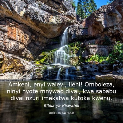 Picture 03 - Joeli 1:5 SWHULB - Amkeni, enyi walevi, lieni! Omboleza, ninyi nyote - Bible Verse Picture