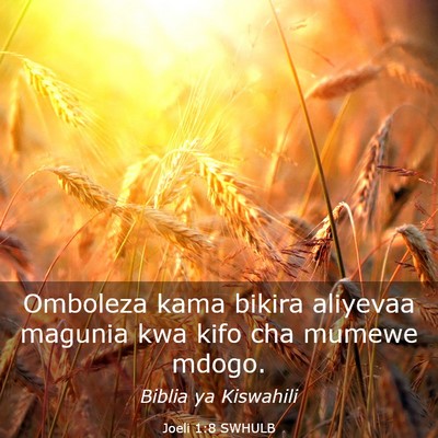 Picture 03 - Joeli 1:8 SWHULB - Omboleza kama bikira aliyevaa magunia kwa kifo - Bible Verse Picture