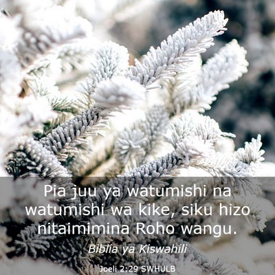 Picture 03 - Joeli 2:29 SWHULB - Pia juu ya watumishi na watumishi wa kike, siku - Bible Verse Picture