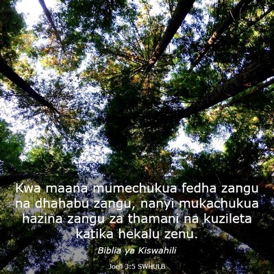 Picture 03 - Joeli 3:5 SWHULB - Kwa maana mumechukua fedha zangu na dhahabu - Bible Verse Picture