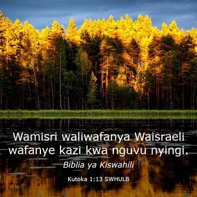 Picture 03 - Kutoka 1:13 SWHULB - Wamisri waliwafanya Waisraeli wafanye kazi kwa - Bible Verse Picture