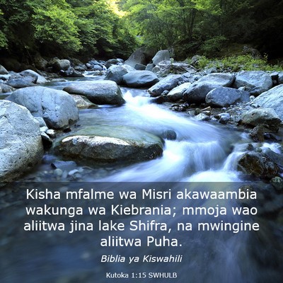 Picture 03 - Kutoka 1:15 SWHULB - Kisha mfalme wa Misri akawaambia wakunga wa - Bible Verse Picture