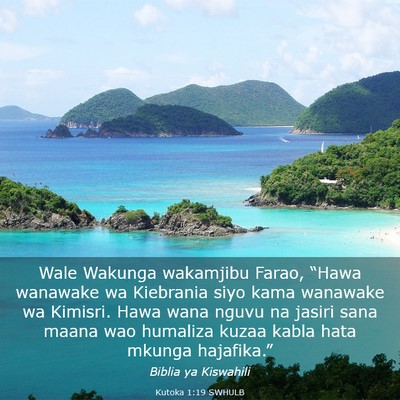 Picture 03 - Kutoka 1:19 SWHULB - Wale Wakunga wakamjibu Farao, “Hawa wanawake wa - Bible Verse Picture