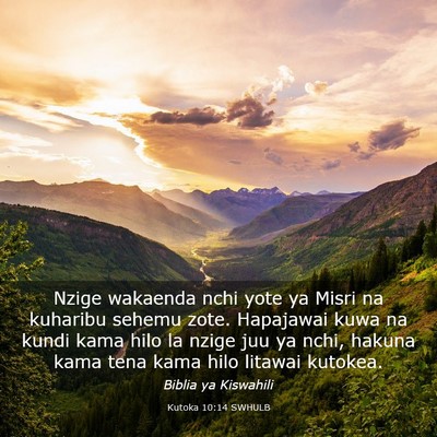 Picture 03 - Kutoka 10:14 SWHULB - Nzige wakaenda nchi yote ya Misri na kuharibu - Bible Verse Picture