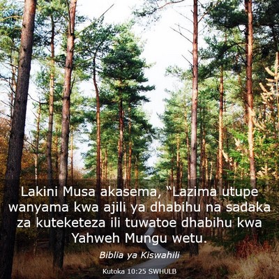 Picture 03 - Kutoka 10:25 SWHULB - Lakini Musa akasema, “Lazima utupe wanyama kwa - Bible Verse Picture