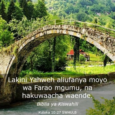 Picture 03 - Kutoka 10:27 SWHULB - Lakini Yahweh aliufanya moyo wa Farao mgumu, na - Bible Verse Picture