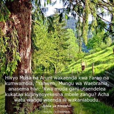Picture 03 - Kutoka 10:3 SWHULB - Hivyo Musa na Aruni wakaenda kwa Farao na - Bible Verse Picture