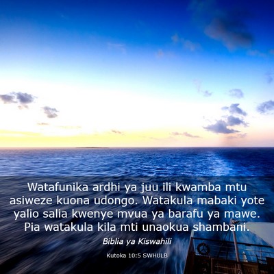 Picture 03 - Kutoka 10:5 SWHULB - Watafunika ardhi ya juu ili kwamba mtu asiweze - Bible Verse Picture