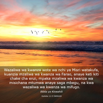 Picture 03 - Kutoka 11:5 SWHULB - Wazaliwa wa kwanza wote wa nchi ya Misri - Bible Verse Picture