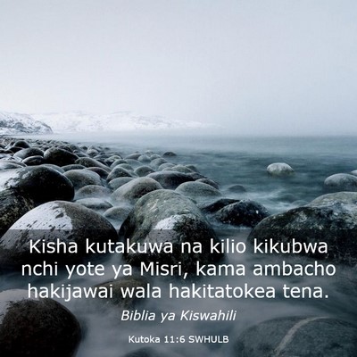 Picture 03 - Kutoka 11:6 SWHULB - Kisha kutakuwa na kilio kikubwa nchi yote ya - Bible Verse Picture