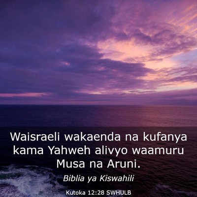 Picture 03 - Kutoka 12:28 SWHULB - Waisraeli wakaenda na kufanya kama Yahweh alivyo - Bible Verse Picture