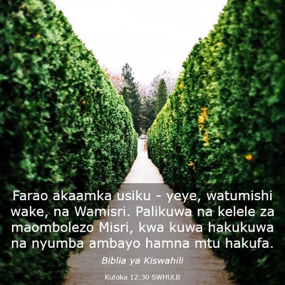 Picture 03 - Kutoka 12:30 SWHULB - Farao akaamka usiku - yeye, watumishi wake, na - Bible Verse Picture