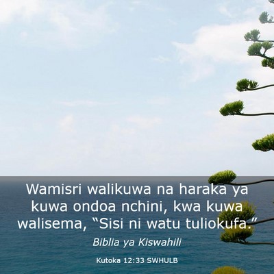 Picture 03 - Kutoka 12:33 SWHULB - Wamisri walikuwa na haraka ya kuwa ondoa nchini, - Bible Verse Picture