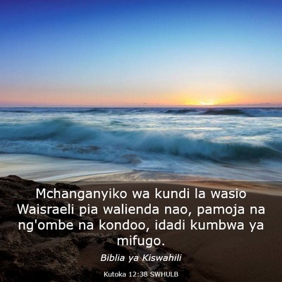 Picture 03 - Kutoka 12:38 SWHULB - Mchanganyiko wa kundi la wasio Waisraeli pia - Bible Verse Picture