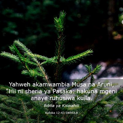 Picture 03 - Kutoka 12:43 SWHULB - Yahweh akamwambia Musa na Aruni, “Hii ni sheria - Bible Verse Picture