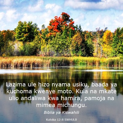 Picture 03 - Kutoka 12:8 SWHULB - Lazima ule hizo nyama usiku, baada ya kuchoma - Bible Verse Picture