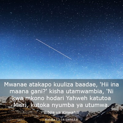 Picture 03 - Kutoka 13:14 SWHULB - Mwanae atakapo kuuliza baadae, 'Hii ina maana - Bible Verse Picture