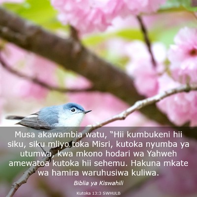 Picture 03 - Kutoka 13:3 SWHULB - Musa akawambia watu, “Hii kumbukeni hii siku, - Bible Verse Picture