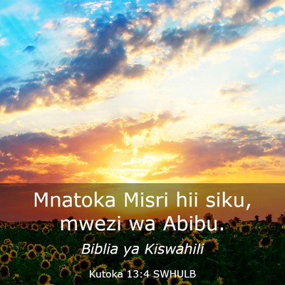 Picture 03 - Kutoka 13:4 SWHULB - Mnatoka Misri hii siku, mwezi wa - Bible Verse Picture