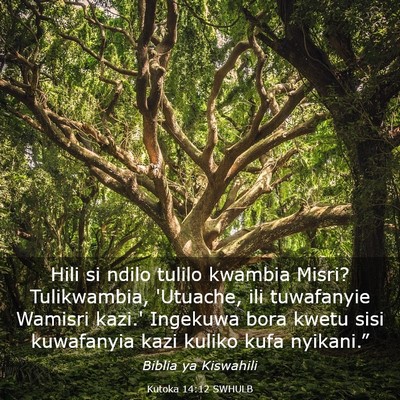 Picture 03 - Kutoka 14:12 SWHULB - Hili si ndilo tulilo kwambia Misri? Tulikwambia, - Bible Verse Picture