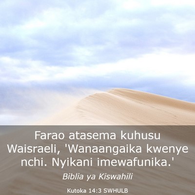 Picture 03 - Kutoka 14:3 SWHULB - Farao atasema kuhusu Waisraeli, 'Wanaangaika - Bible Verse Picture