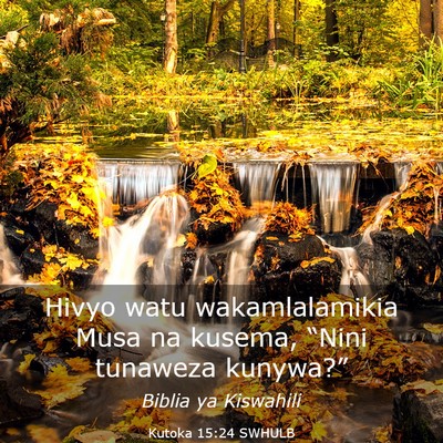 Picture 03 - Kutoka 15:24 SWHULB - Hivyo watu wakamlalamikia Musa na kusema, “Nini - Bible Verse Picture
